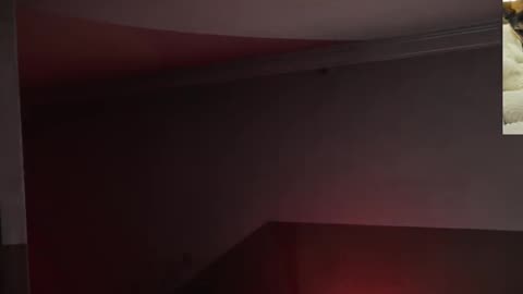 She KNOWS what she's doing