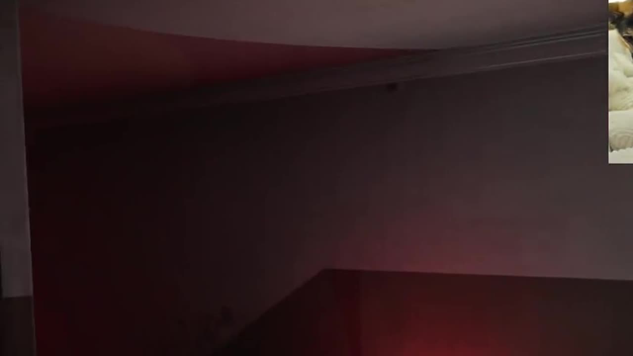 She KNOWS what she's doing