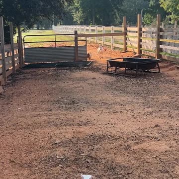 This seems like a nice place to relax. Or is it?