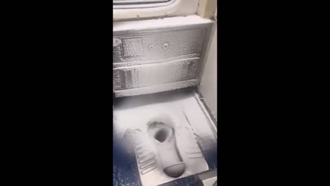 Courage to shit