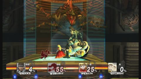 Super Smash Bros Brawl Battle339