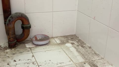 Dirt and Grime Exposed Under Our Old Washing Machine!