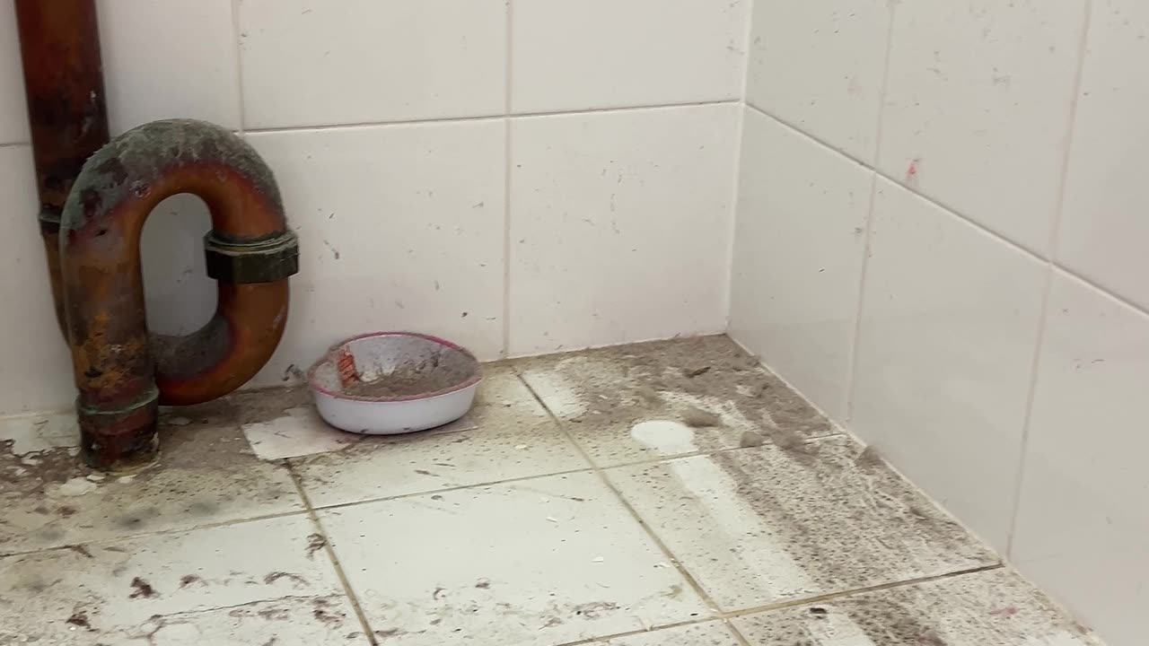 Dirt and Grime Exposed Under Our Old Washing Machine!