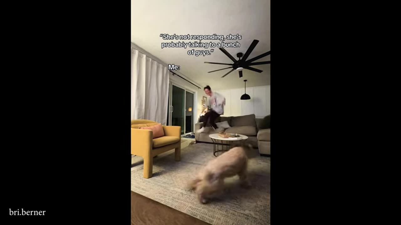 funniest animals video of 2025 prepare yourself and cry laughing