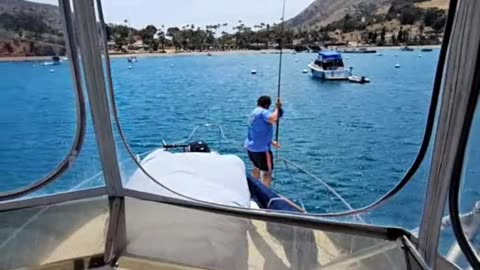 Get the Right Gear from Promar & Ahi USA! #746