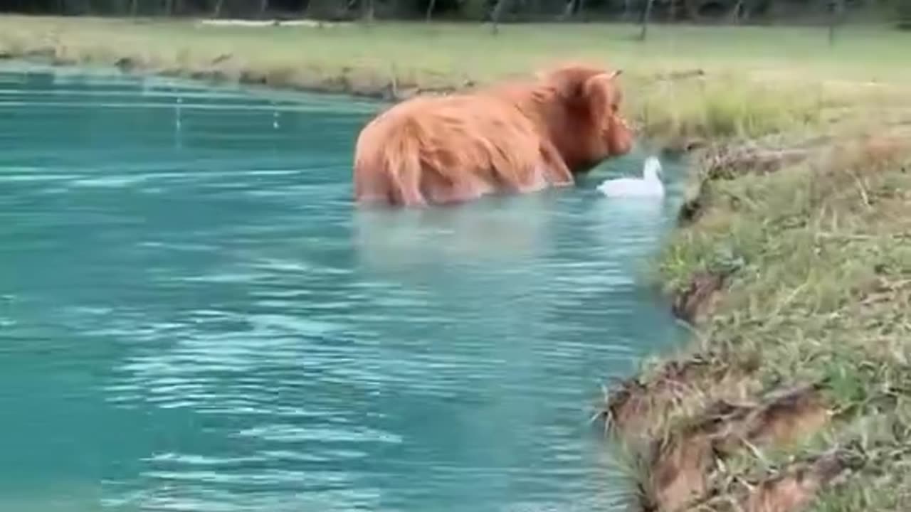 I'm pretty sure it's love