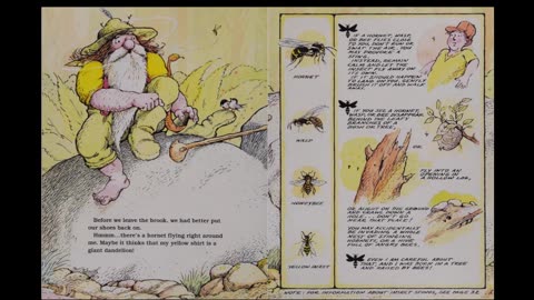 Crinkleroot's Guide to Walking in Wild Places