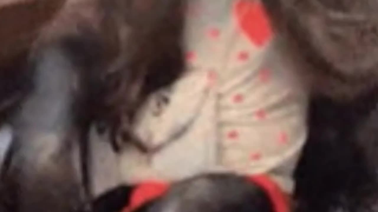 Ali Khamenei The Escape Plan