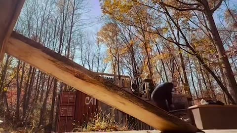 💥😬 Bam Margera Still Shredding! The Gnarliest Ollie Ever! | SkateNation