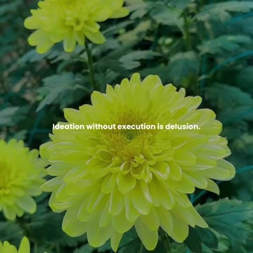 Ideation without execution is delusion.