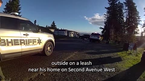 7 People Bitten by Dogs on the Loose, 6 Transported to Hospital