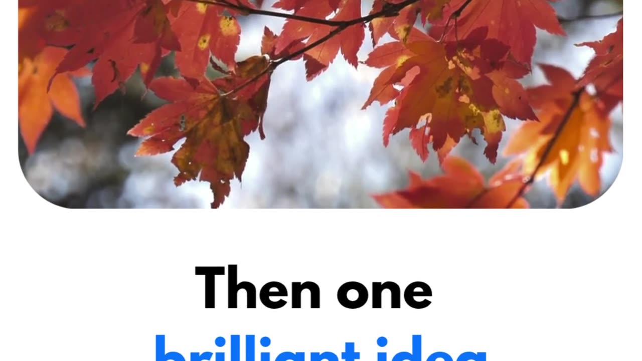 Time Travel with Math: Numbers Through the Ages!