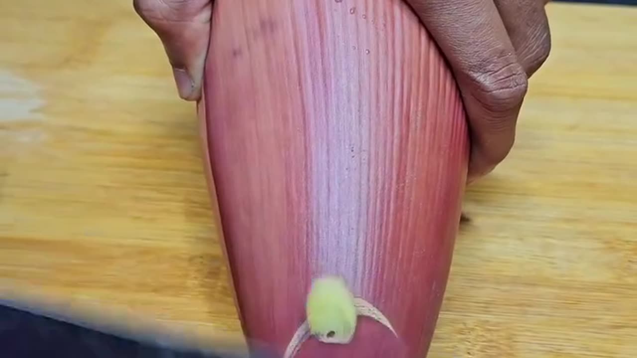 Fun video