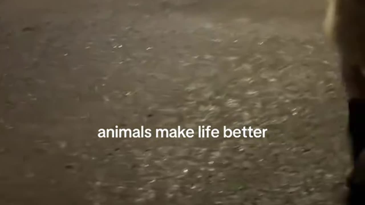 look at this sweet baby