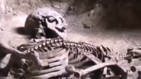 A Giant Human KIlled by a Giant Snake in a Cave in Thailand
