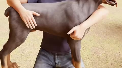 Heart-stopping dog rescue! You won't believe the ending! 😱