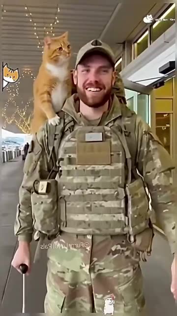 CAT-A.T.T.A.C.K 😝 SATURDAY 1/17/26