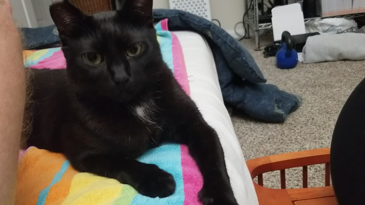 20250828 235504 Tux Pre-Bedtime