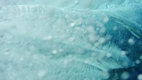 "Surf’s Up: A Glimpse into the World of Surfing"