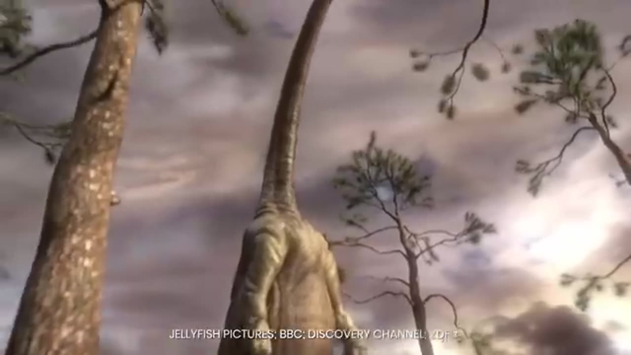 The Biggest Beasts to Ever Live – Visual Comparison (Part 1)