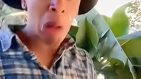 🤣🤣🤣