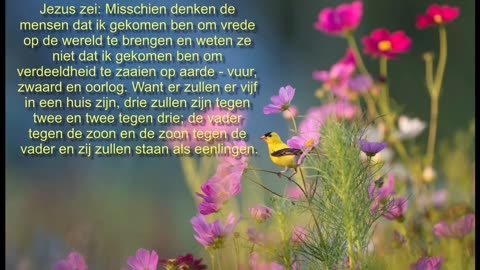 Misschien denken mensen