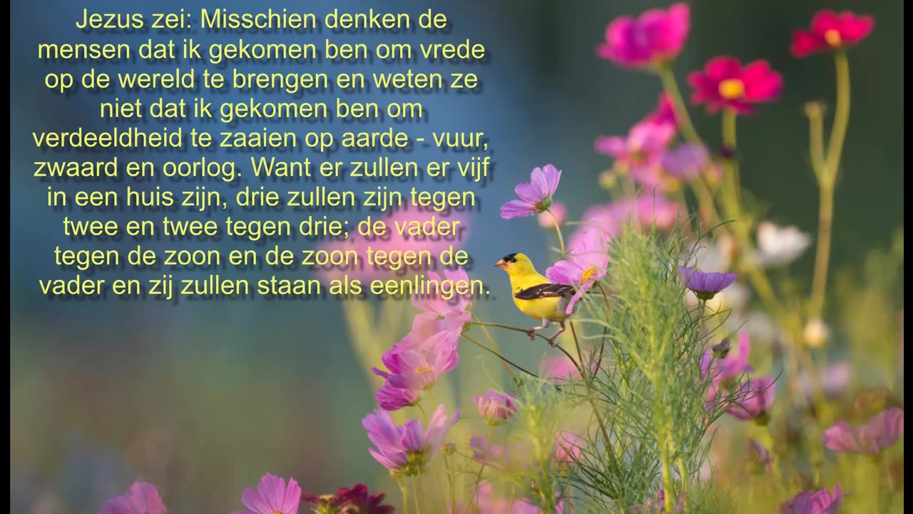 Misschien denken mensen