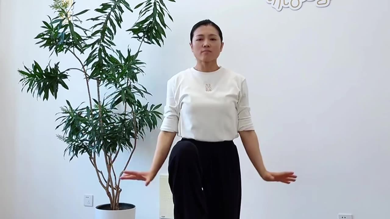 670.提膝平衡樁