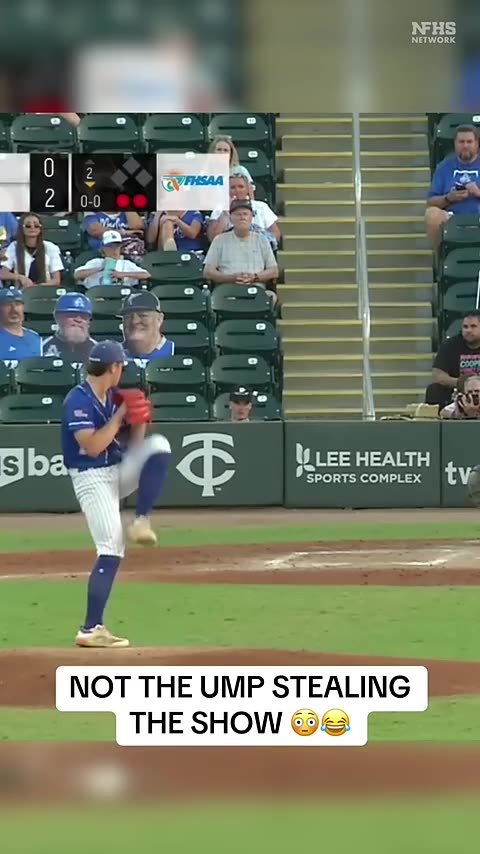 013. NOT SOMETHING YOU SEE EVERYDAY 😂😂 #shorts #baseball #umpire