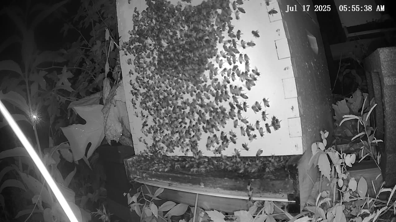 Thursday Morning Peek