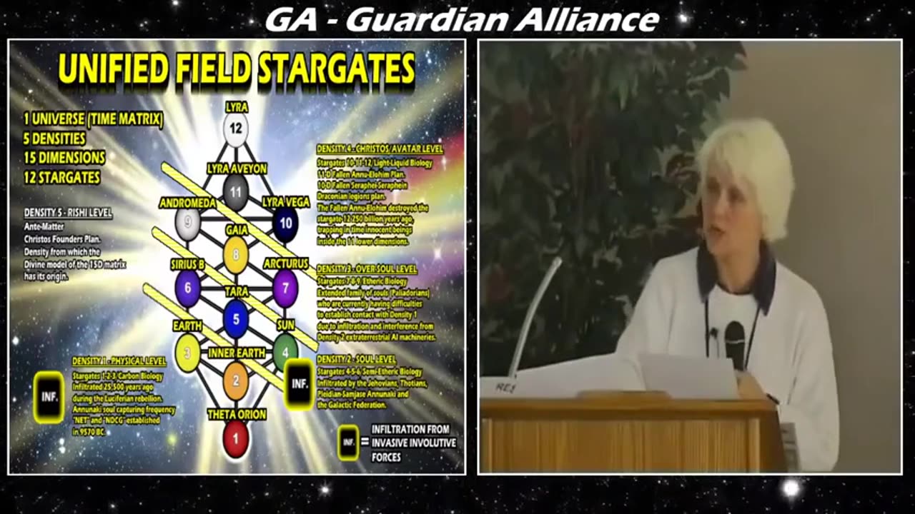 Excerpt of The United Intruder Resistance "Michael Mary Turnstile" Matrix - Ashayana Deane