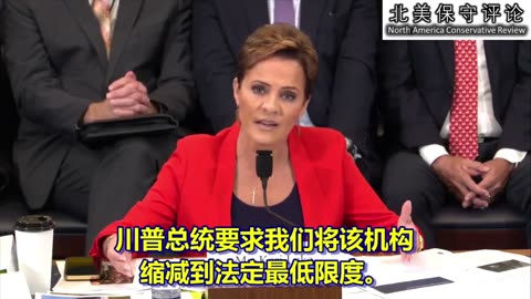 卡丽·湖(Kari Lake)在众议院听证会上发言