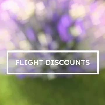 ✈️ Flight Discounts You’ll LOVE!