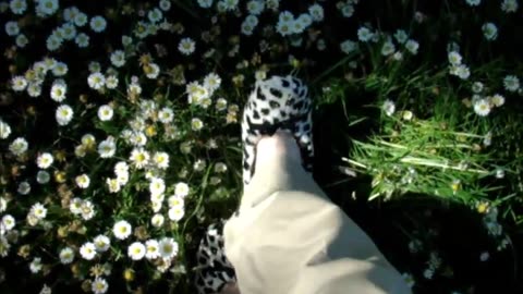 Walking Over Flowers with Slippers