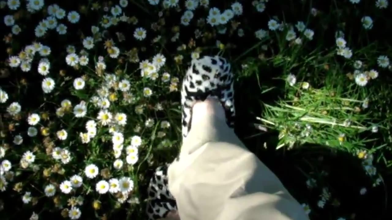 Walking Over Flowers with Slippers