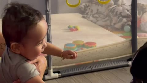Baby Giggles At Dog's Playful Antics