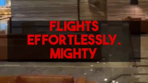 Fly Business Class & Stay 5-Star! Expert guides from Mighty Travels Premium.