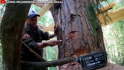 How To: Build a Treehouse #HomesteadAct2.0