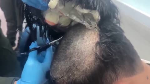 Guy smuggles drugs under hair piece