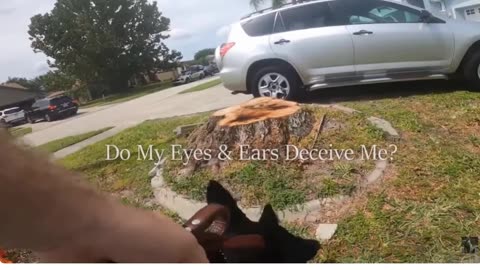 Dog Trainers who Exploit Appearances for their own Agenda