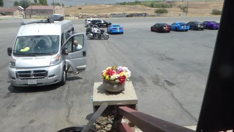 Flowers outside restaurant, some disgusting fake ones, and some nice real ones!