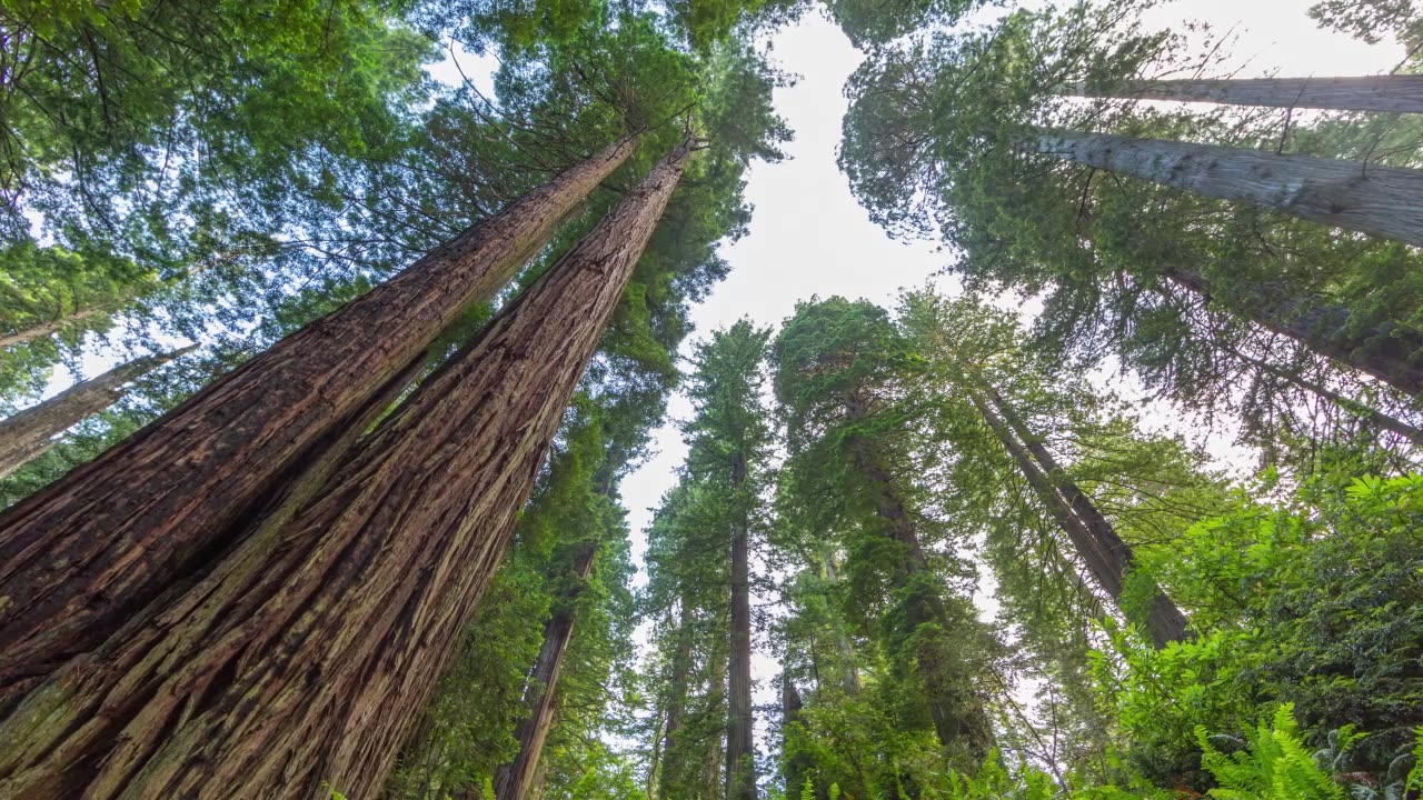 Every landscape captured by the camera is a gift of time and the sediment of years.