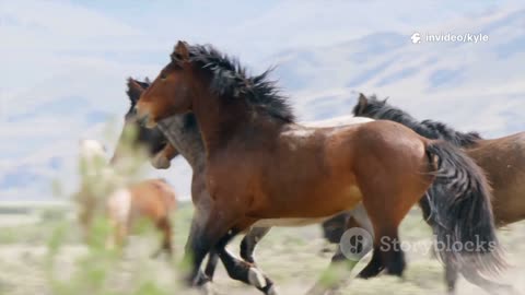 Apache vs Comanche: Plains History in One Minute