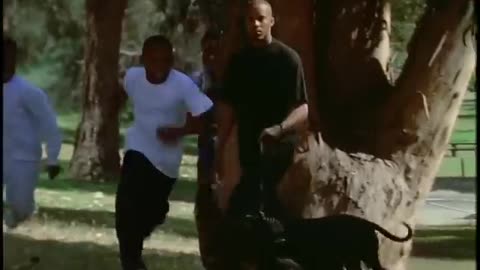 This D.J.