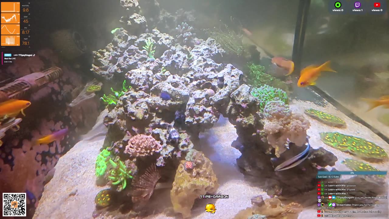 24/7 Real Live Reef Stream