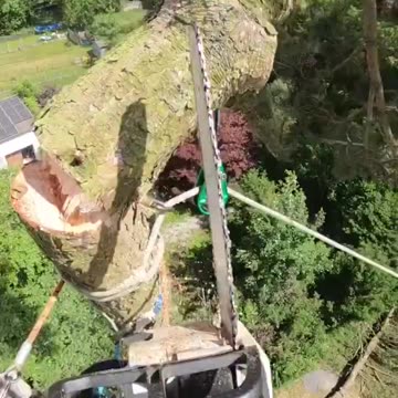 Cutting branches with a zipline