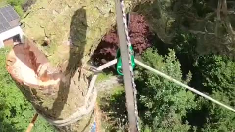 Cutting branches with a zipline