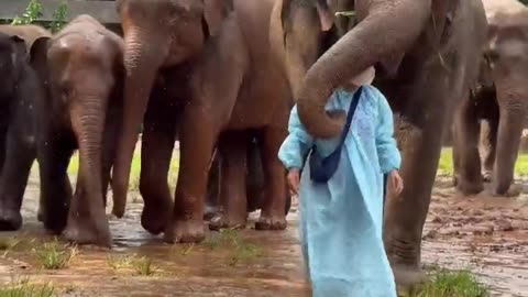 😂🐾 That's Not Just Cute, That's DROP DEAD Cute! | FunFM