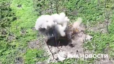 Scenes From the Battle for the Serebryansky Forest