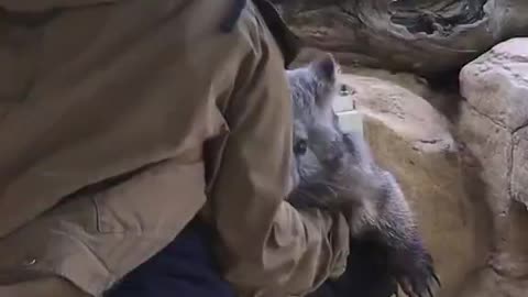Also Loves Hugs